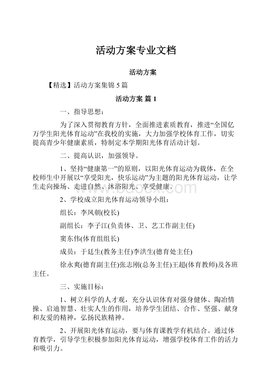 活动方案专业文档.docx