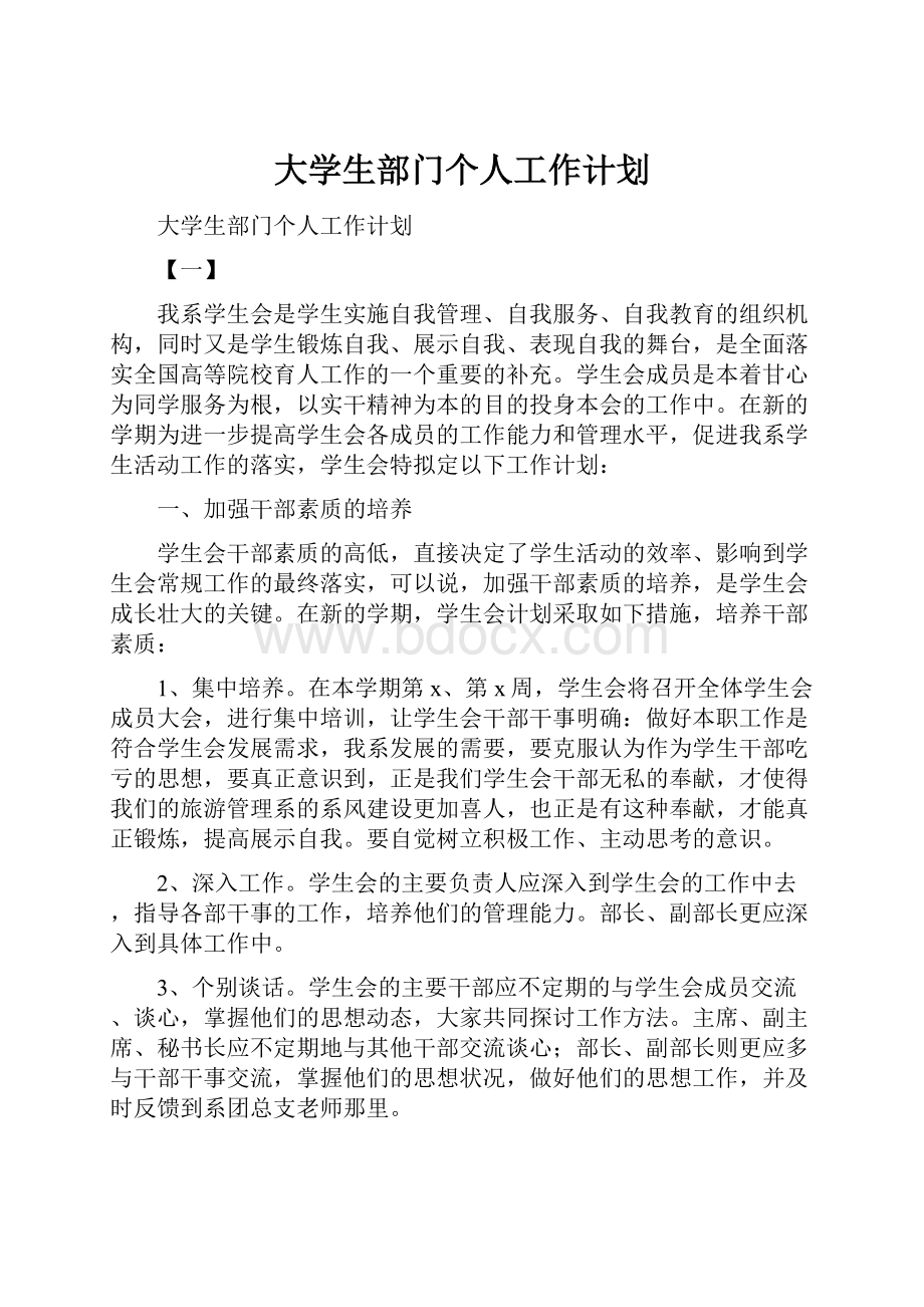 大学生部门个人工作计划.docx