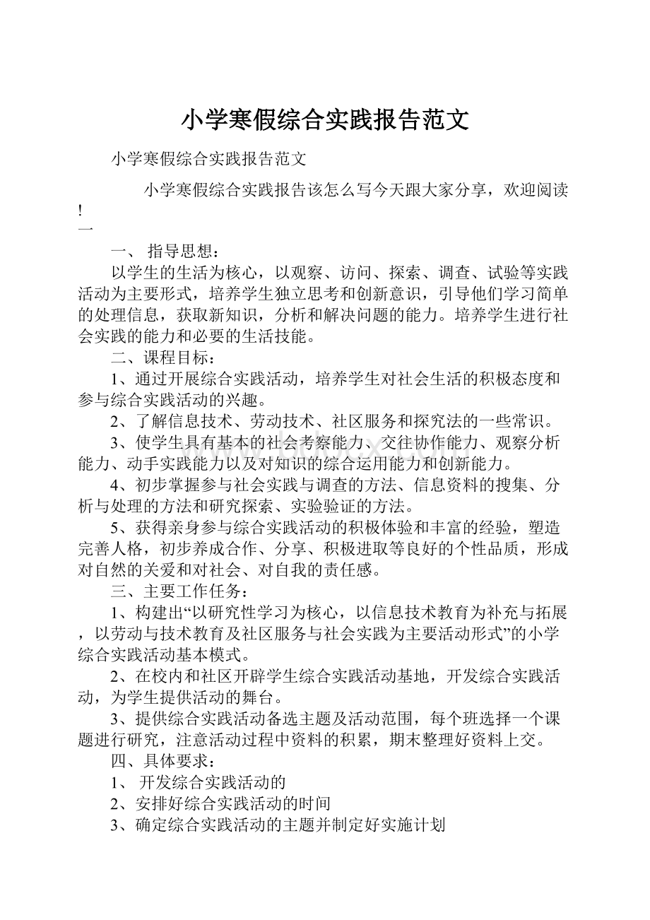 小学寒假综合实践报告范文.docx_第1页