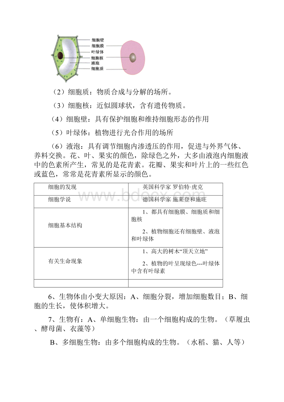 初中生物会考高频考点总结复习大全.docx_第2页