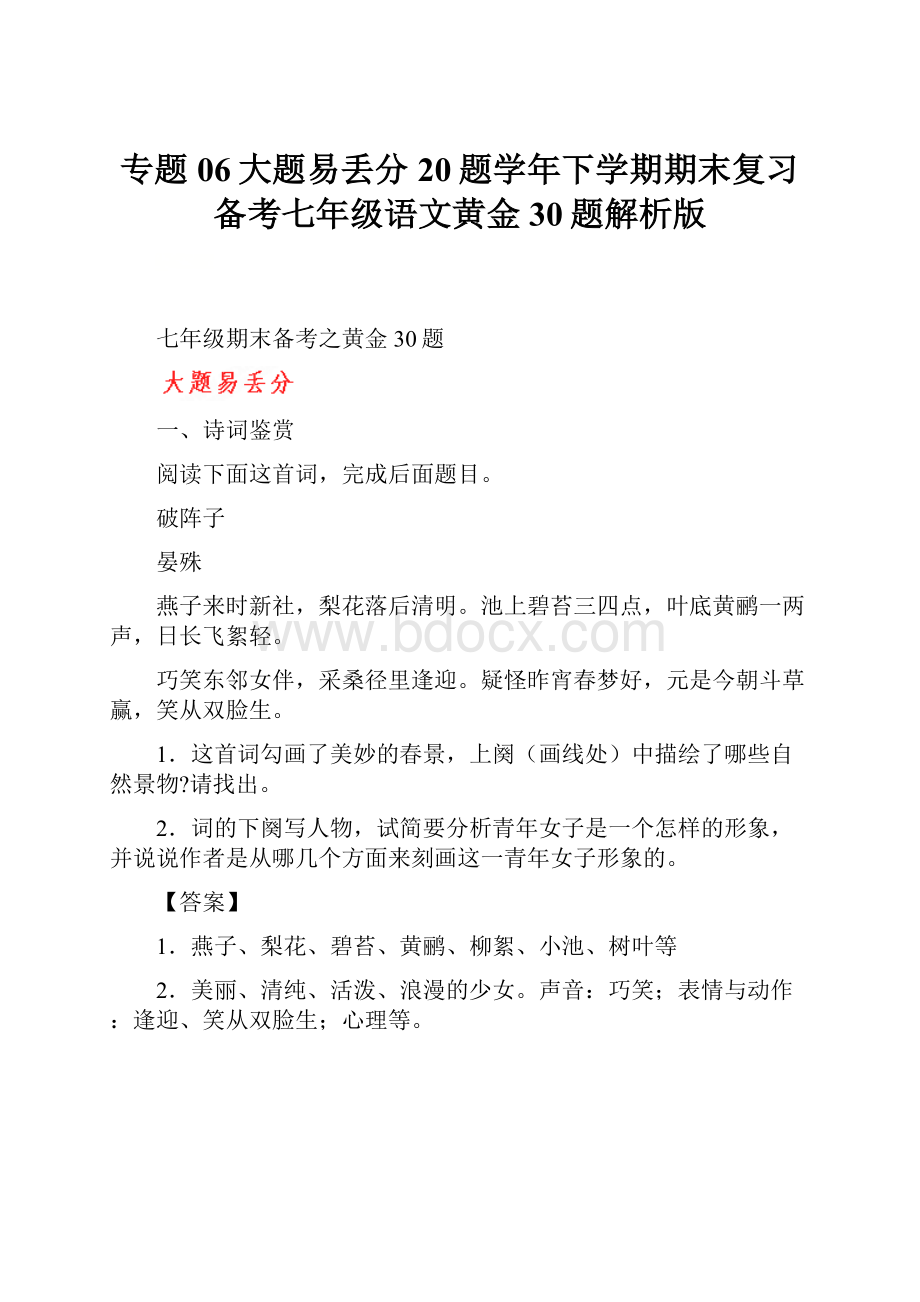 专题06大题易丢分20题学年下学期期末复习备考七年级语文黄金30题解析版.docx