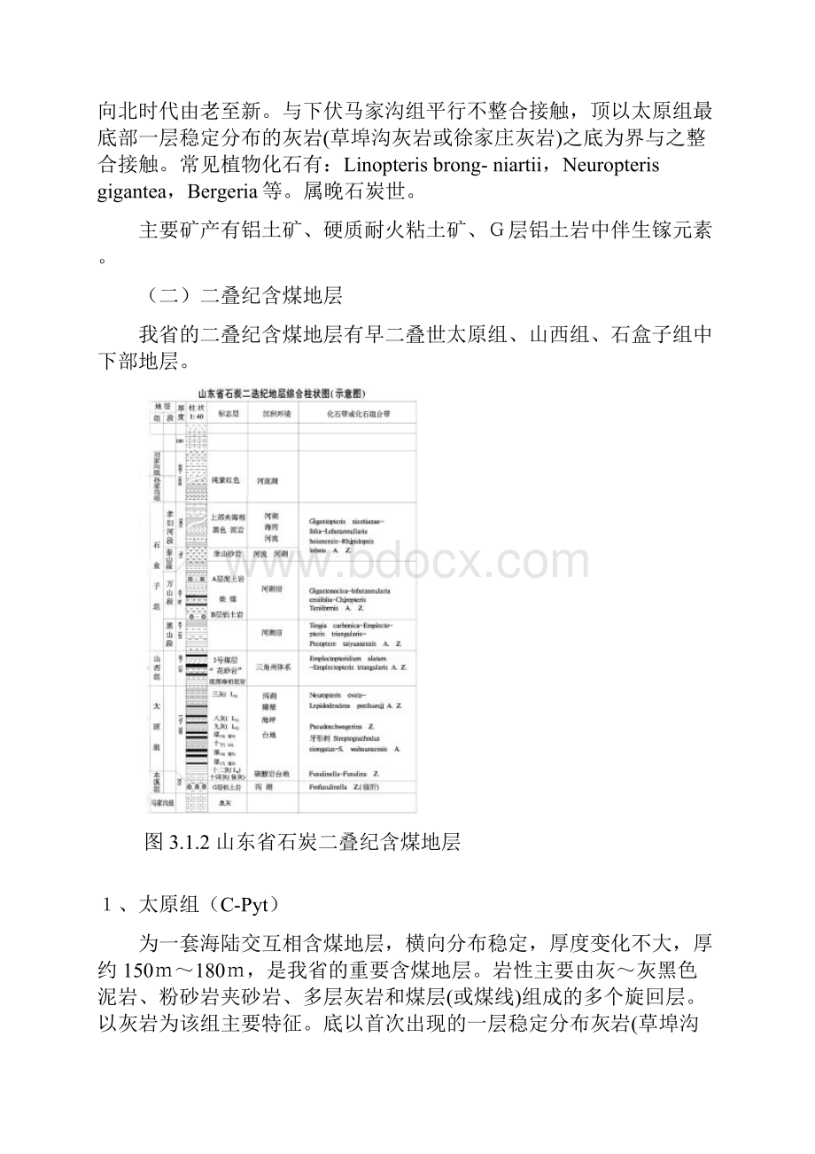 含煤地层与煤层.docx_第3页