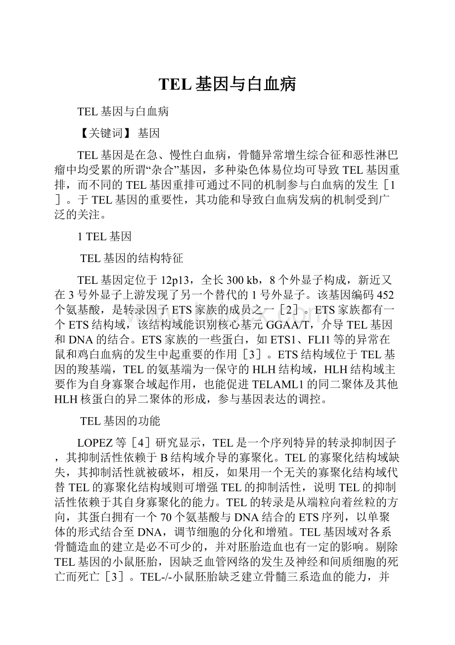 TEL基因与白血病.docx_第1页