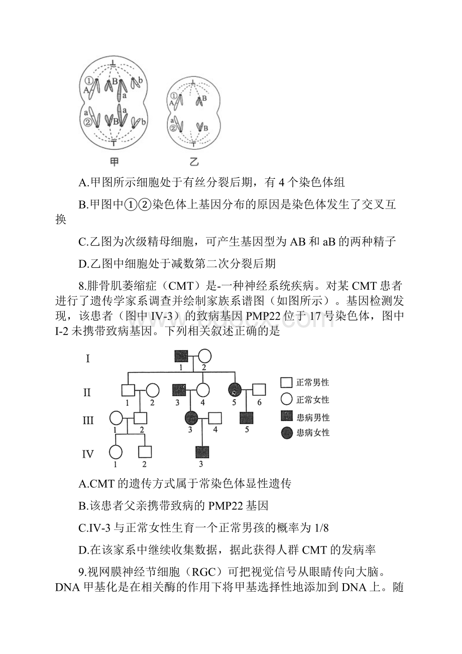 海淀区学年第二学期期中练习生物.docx_第3页