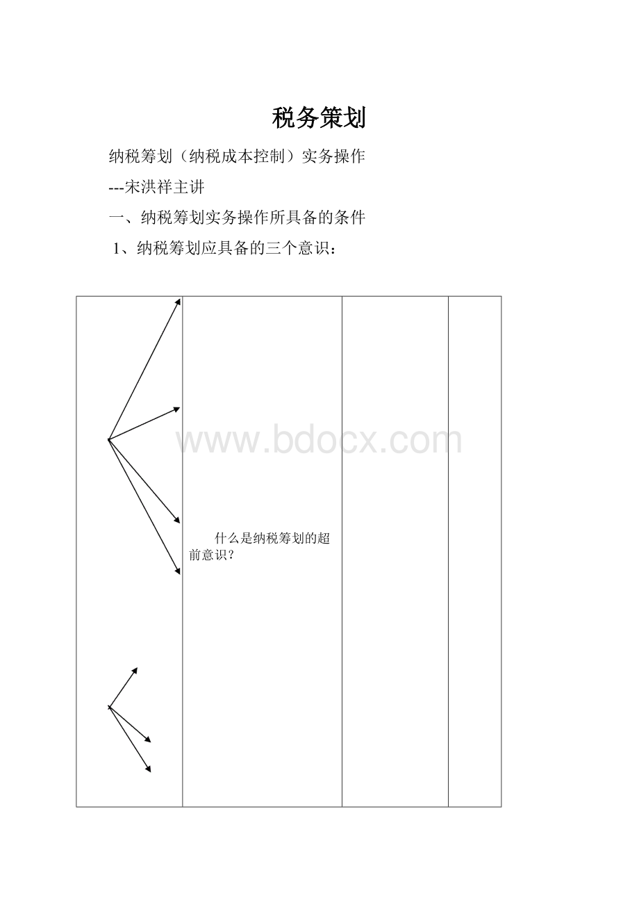 税务策划.docx