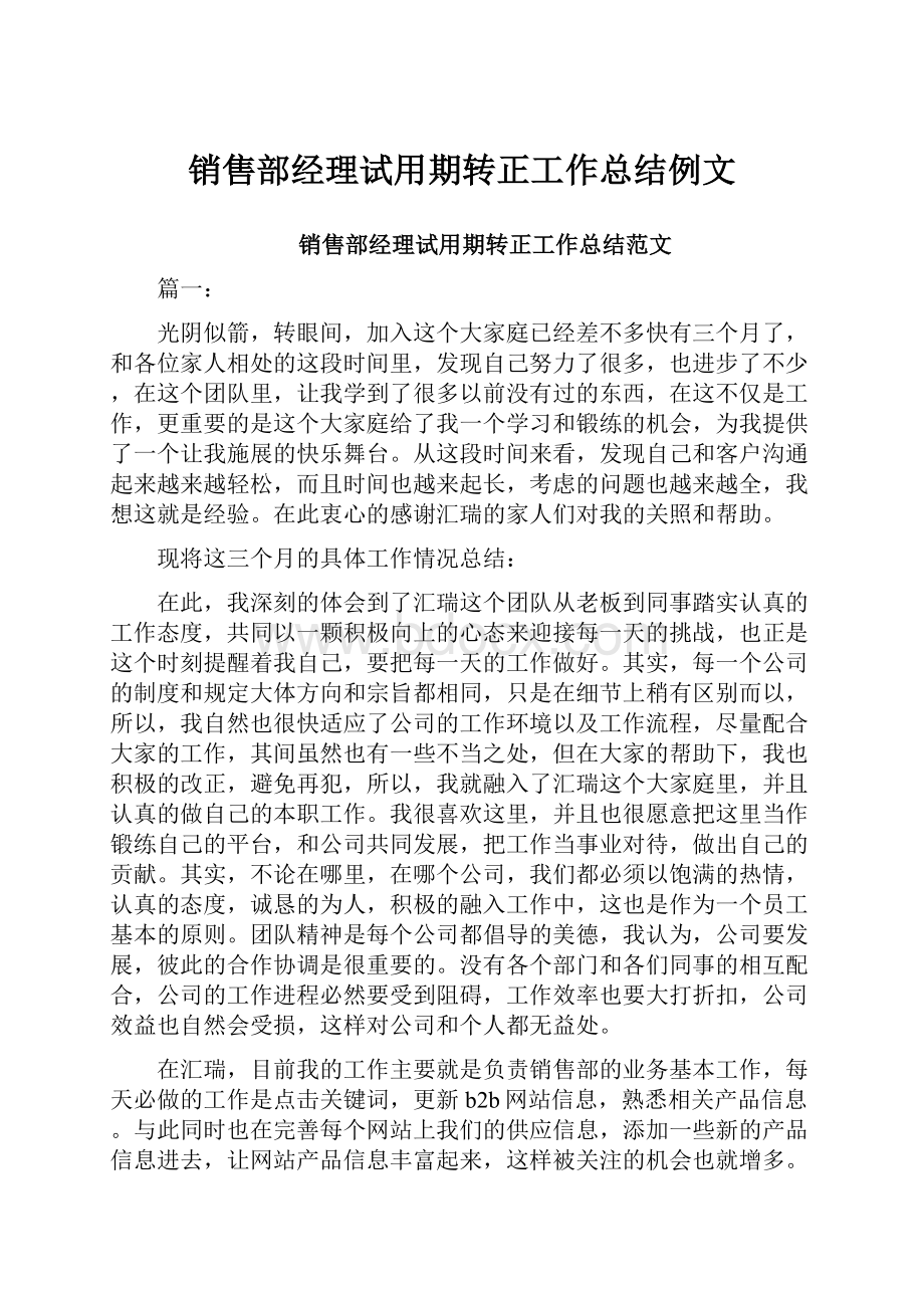 销售部经理试用期转正工作总结例文.docx