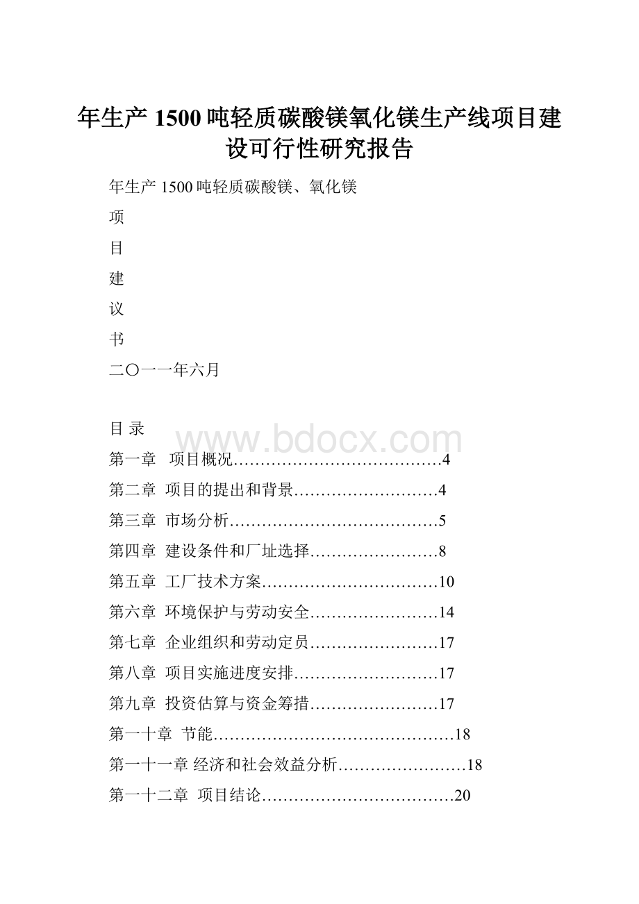 年生产1500吨轻质碳酸镁氧化镁生产线项目建设可行性研究报告.docx