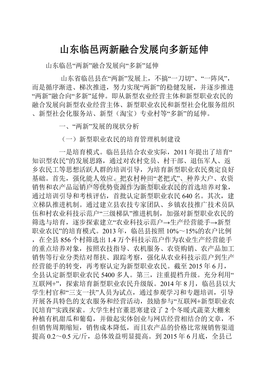 山东临邑两新融合发展向多新延伸.docx