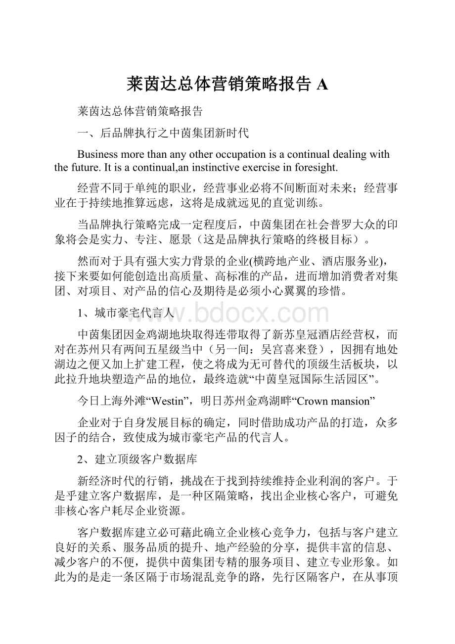 莱茵达总体营销策略报告A.docx