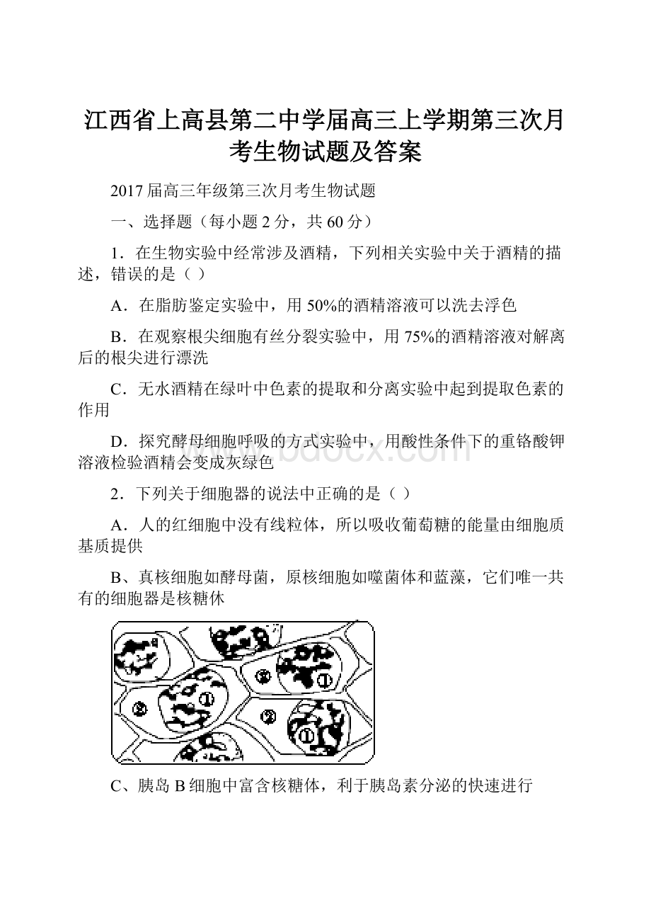 江西省上高县第二中学届高三上学期第三次月考生物试题及答案.docx