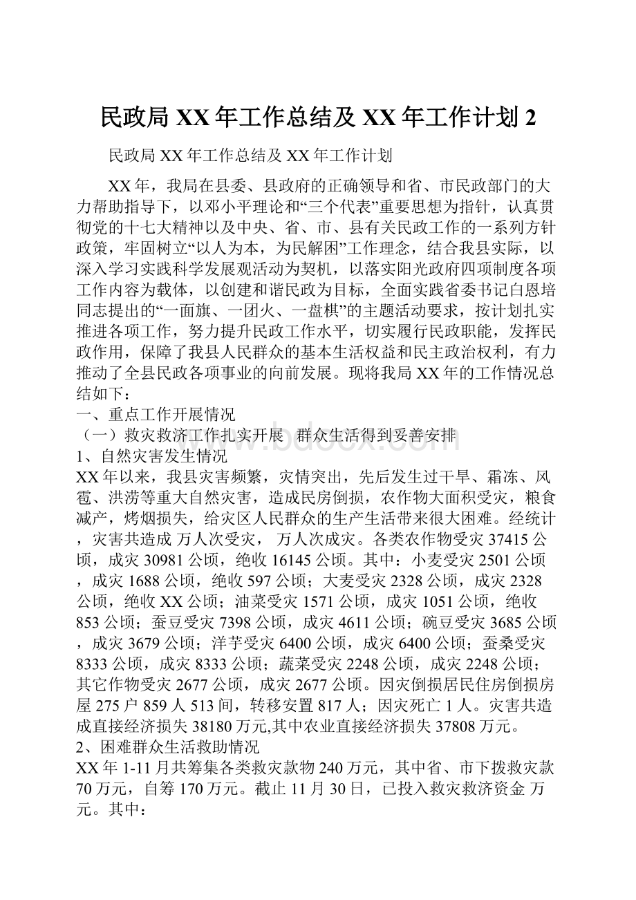 民政局XX年工作总结及XX年工作计划2.docx_第1页