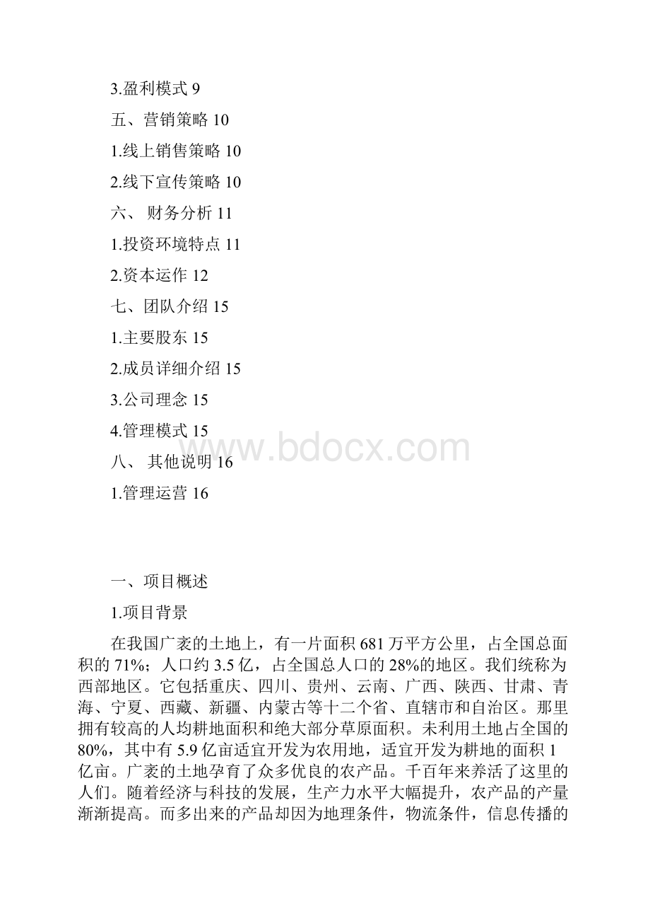 完美互联网+西部农产品电子商务应用创业计划书.docx_第2页