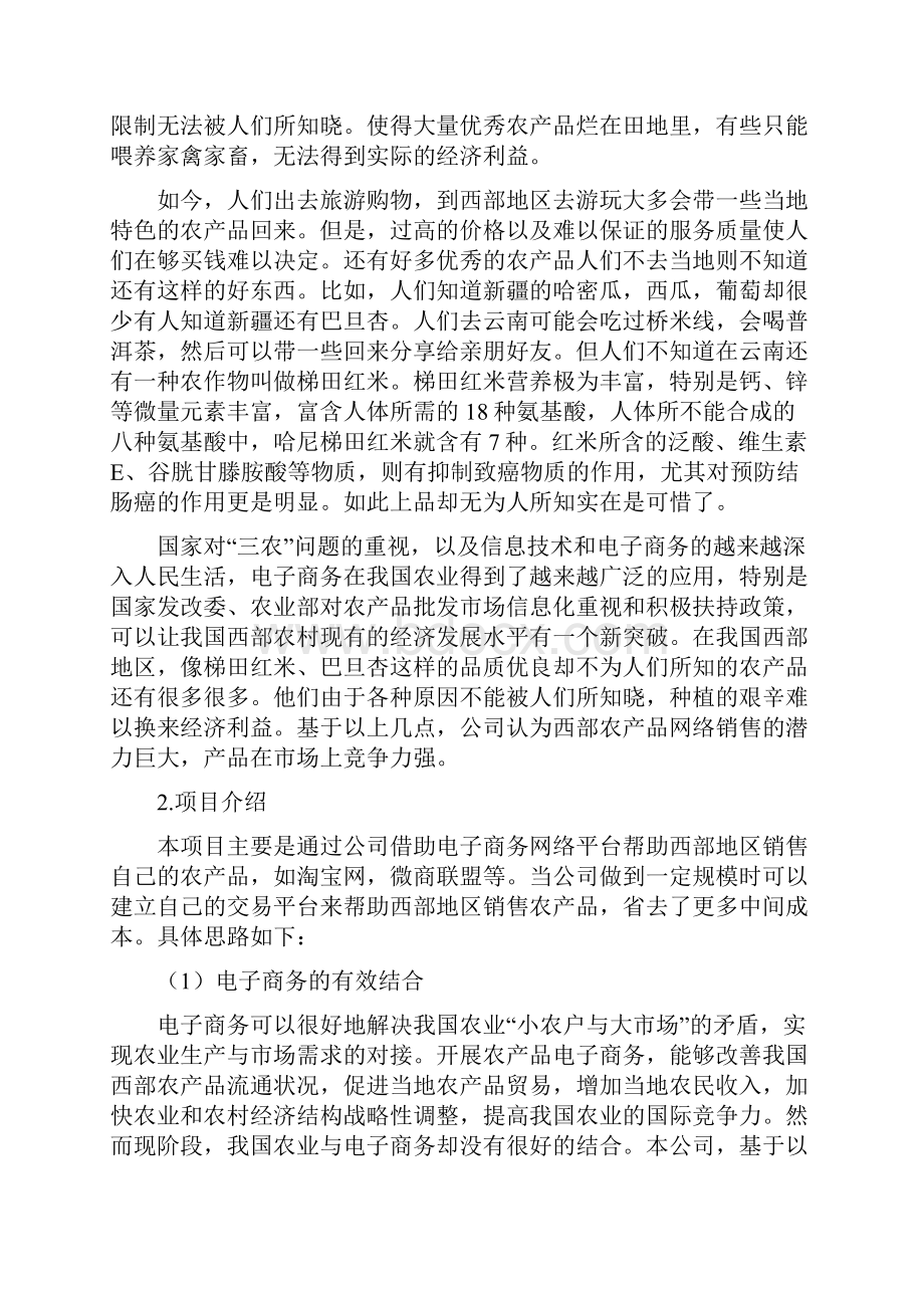 完美互联网+西部农产品电子商务应用创业计划书.docx_第3页