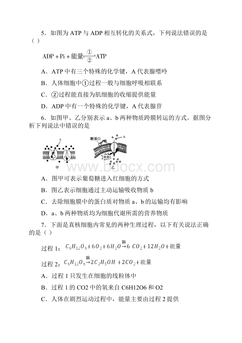 广东省学业水平合格性考试生物模拟试题.docx_第2页