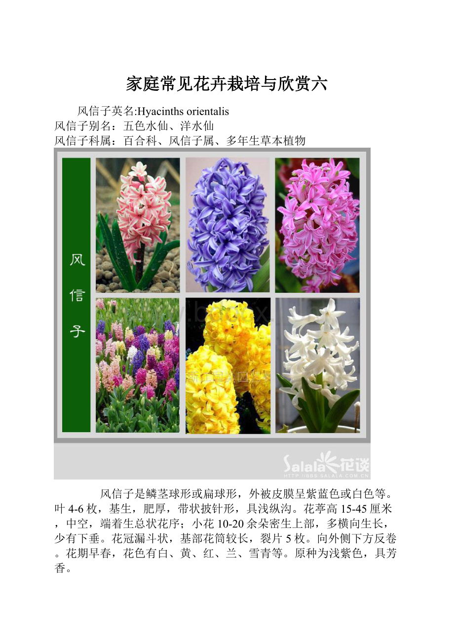 家庭常见花卉栽培与欣赏六.docx