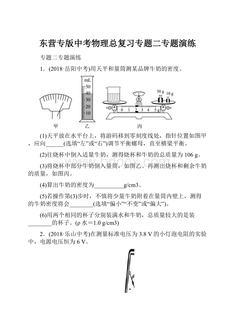 东营专版中考物理总复习专题二专题演练.docx