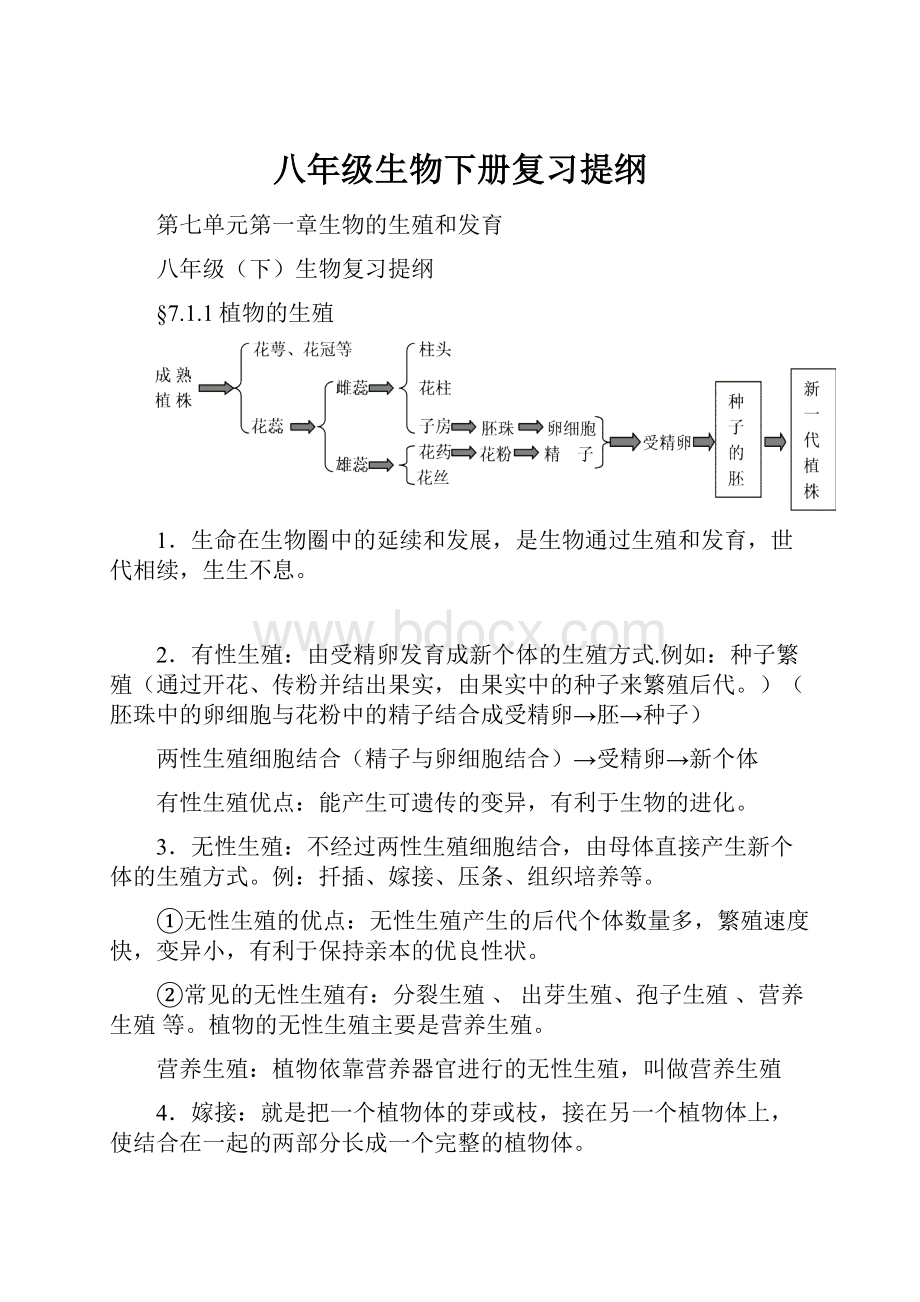 八年级生物下册复习提纲.docx