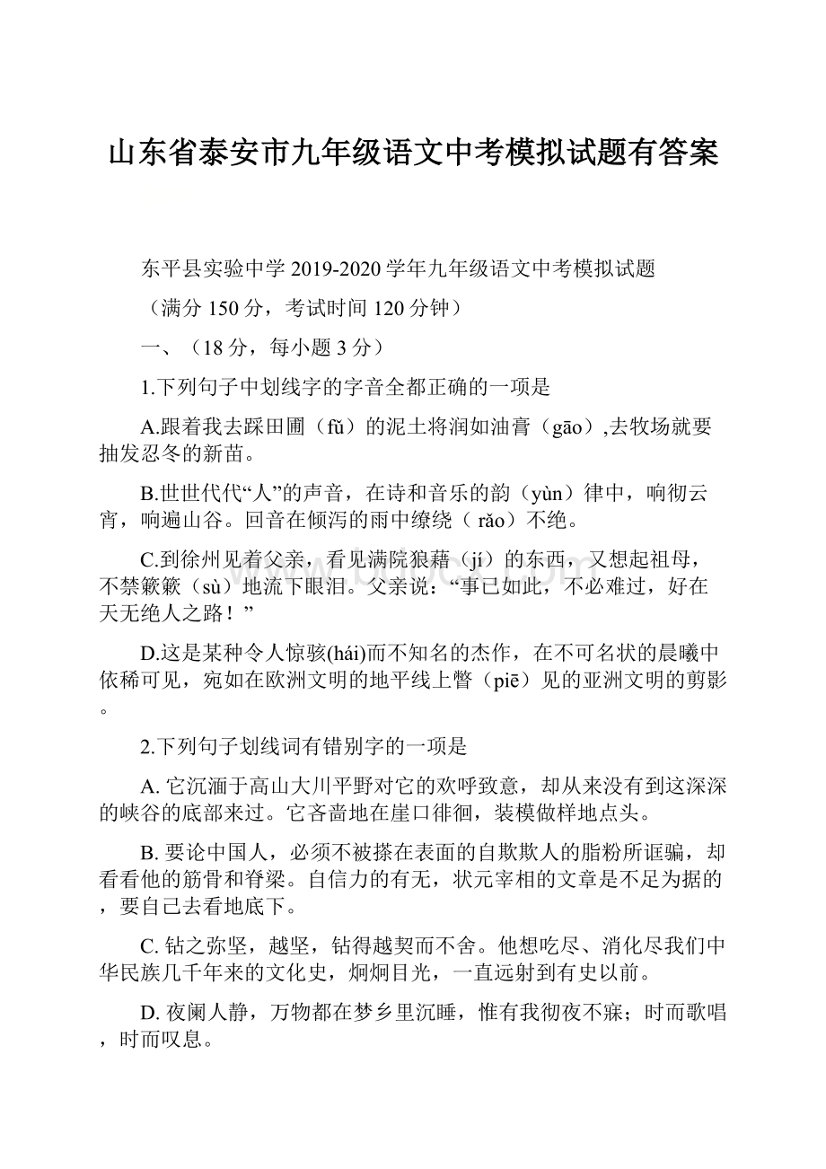 山东省泰安市九年级语文中考模拟试题有答案.docx