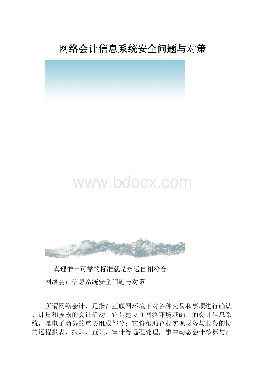 网络会计信息系统安全问题与对策.docx