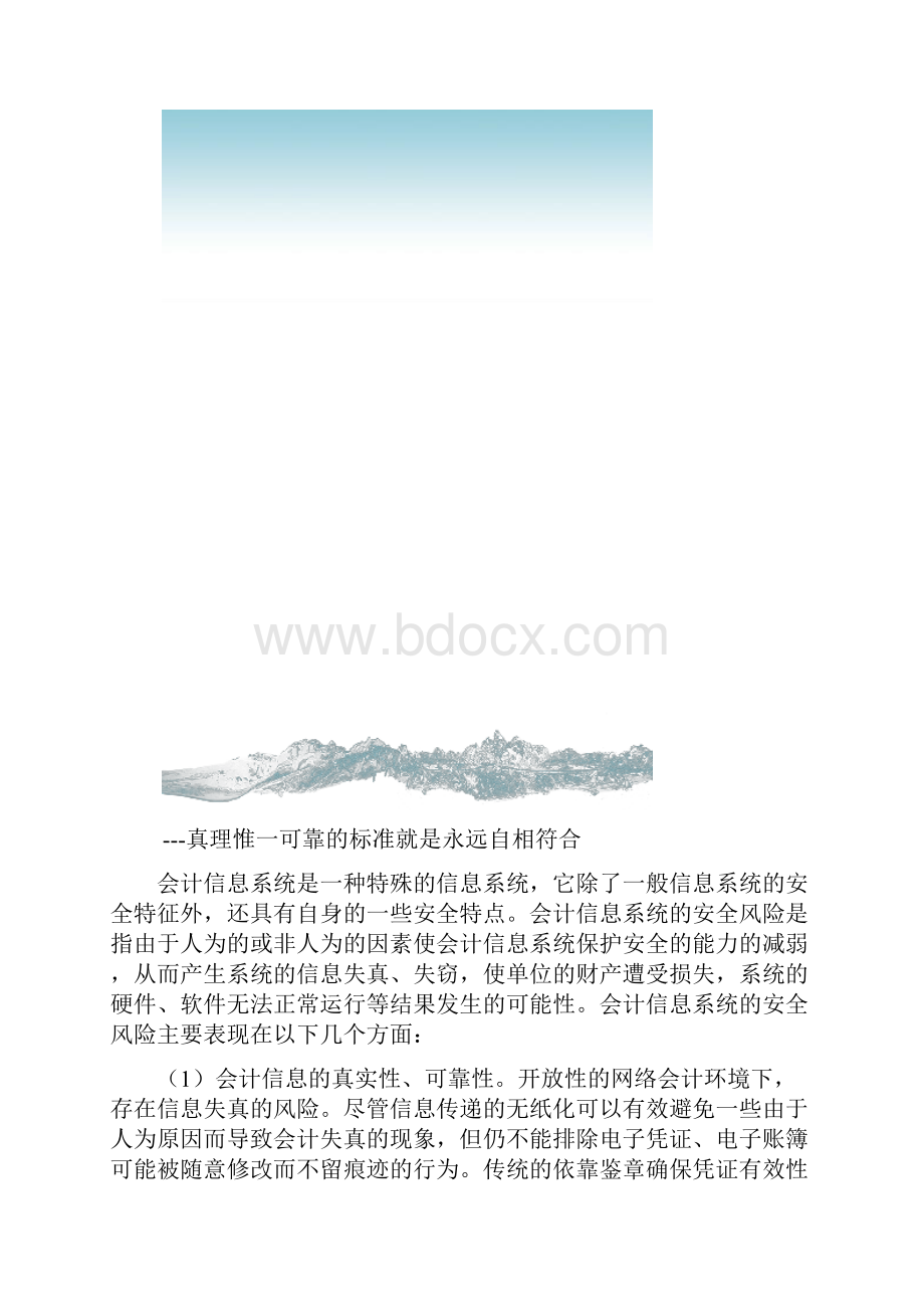 网络会计信息系统安全问题与对策.docx_第3页