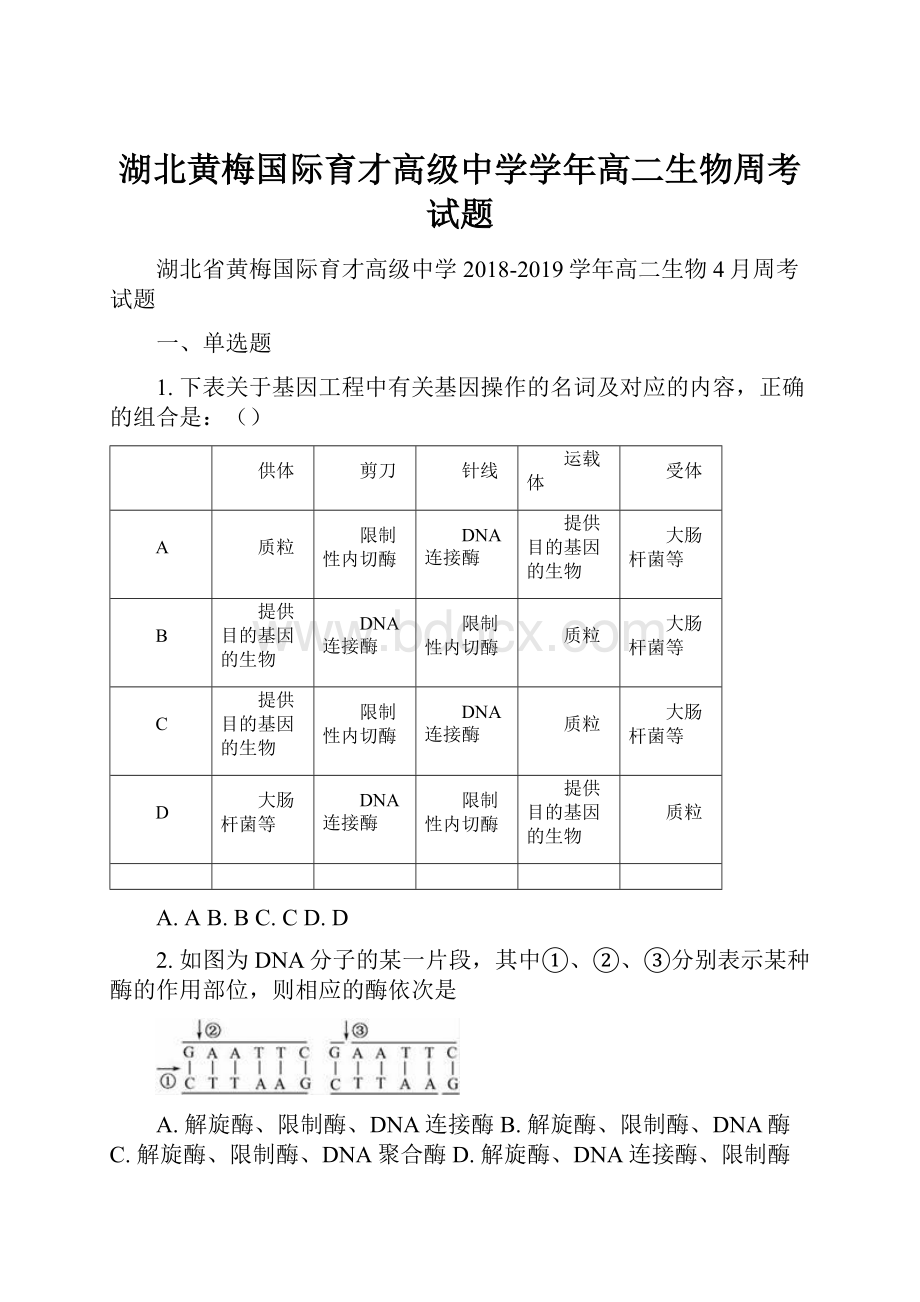 湖北黄梅国际育才高级中学学年高二生物周考试题.docx_第1页