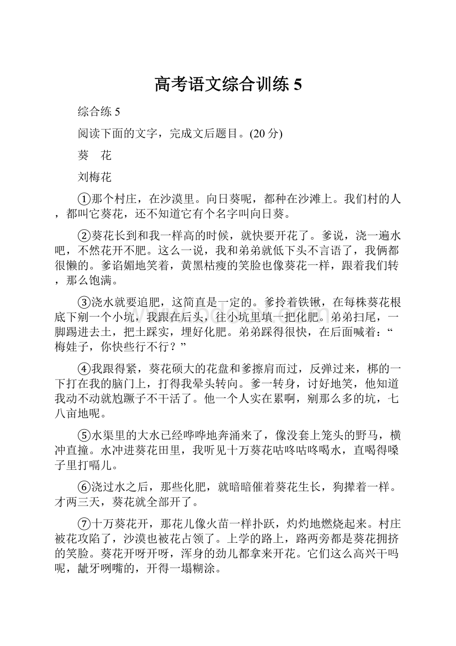 高考语文综合训练 5.docx