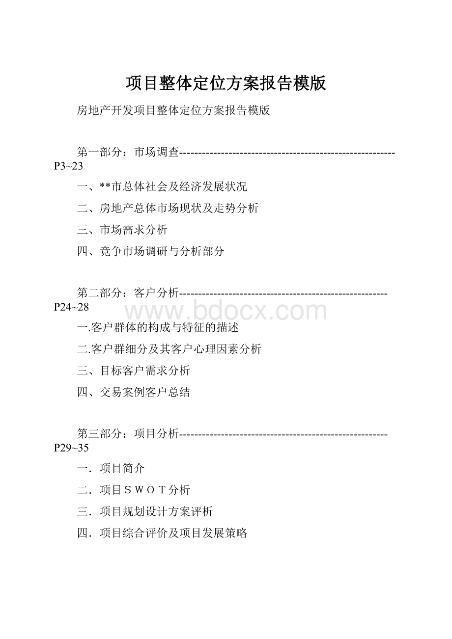 项目整体定位方案报告模版.docx