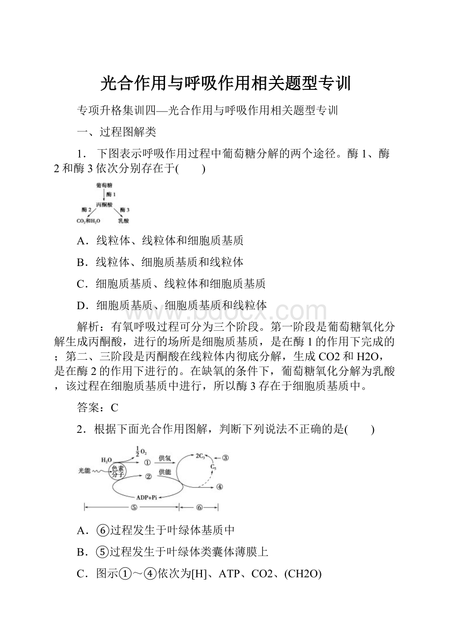 光合作用与呼吸作用相关题型专训.docx