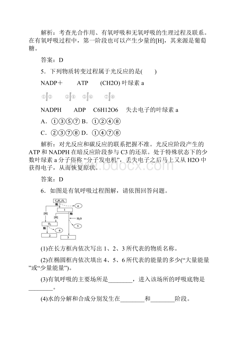 光合作用与呼吸作用相关题型专训.docx_第3页