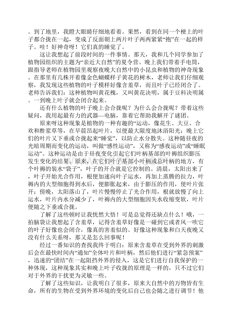 关于植物叶子夜晚闭合的探索小学科学作文.docx_第3页