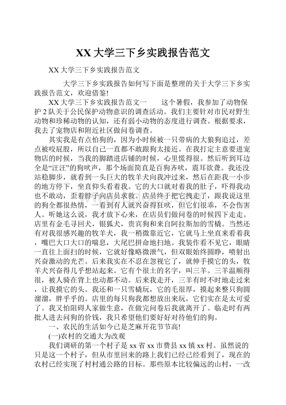 XX大学三下乡实践报告范文.docx