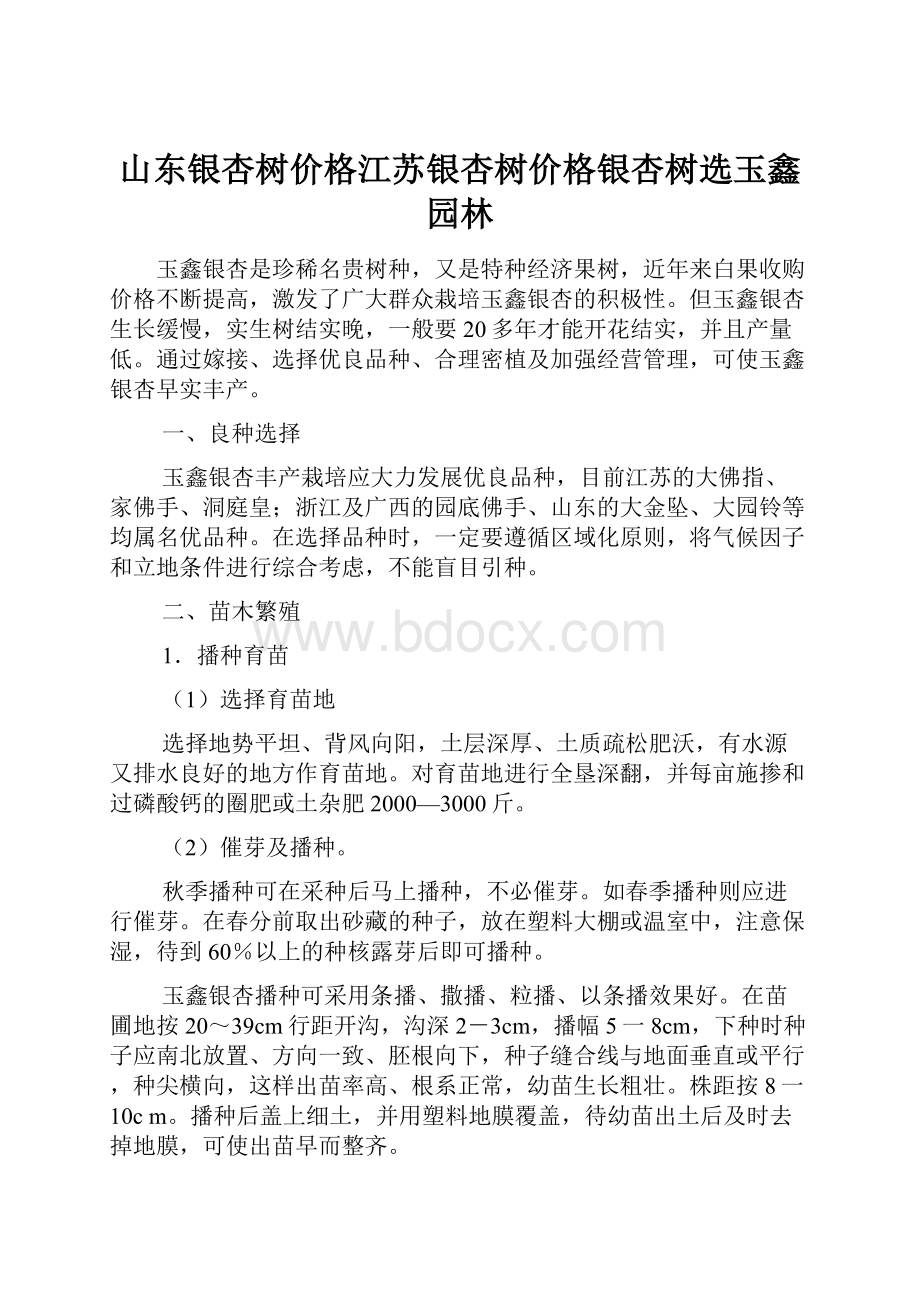 山东银杏树价格江苏银杏树价格银杏树选玉鑫园林.docx_第1页