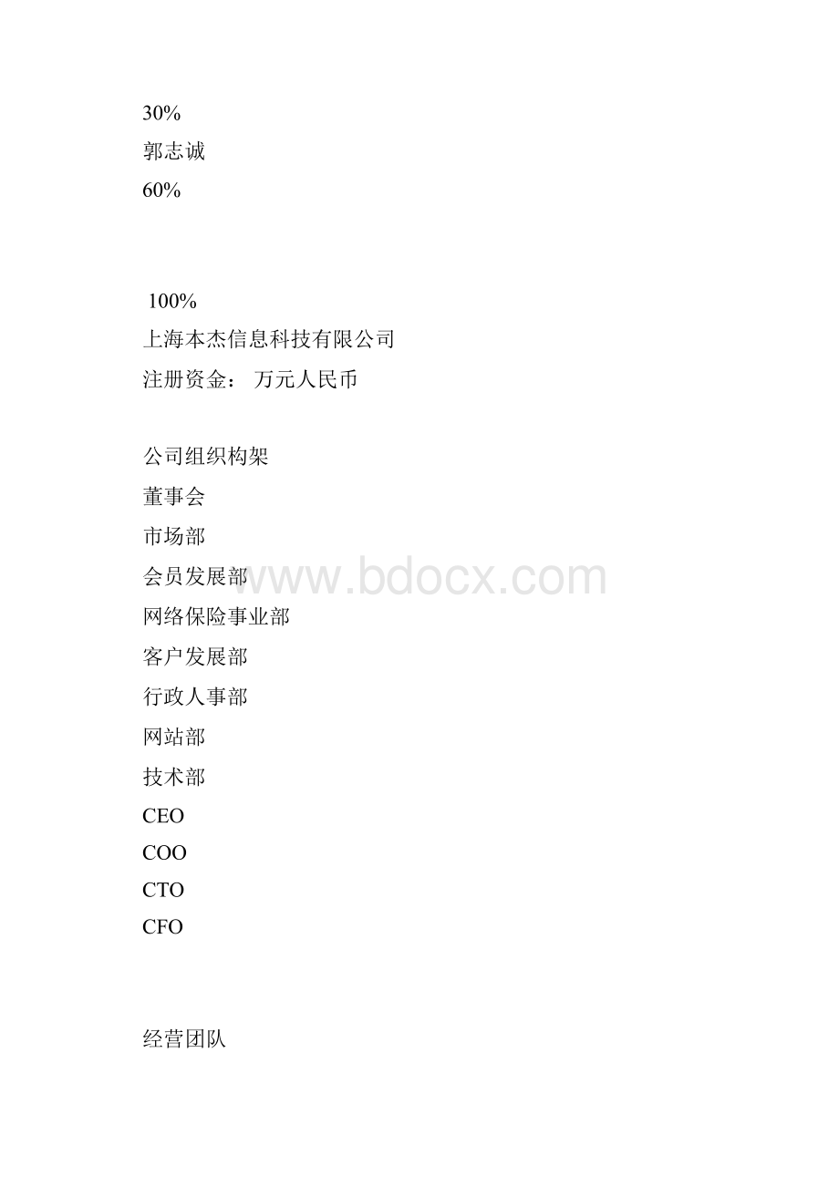 new上海本杰信息科技商业计划书.docx_第3页