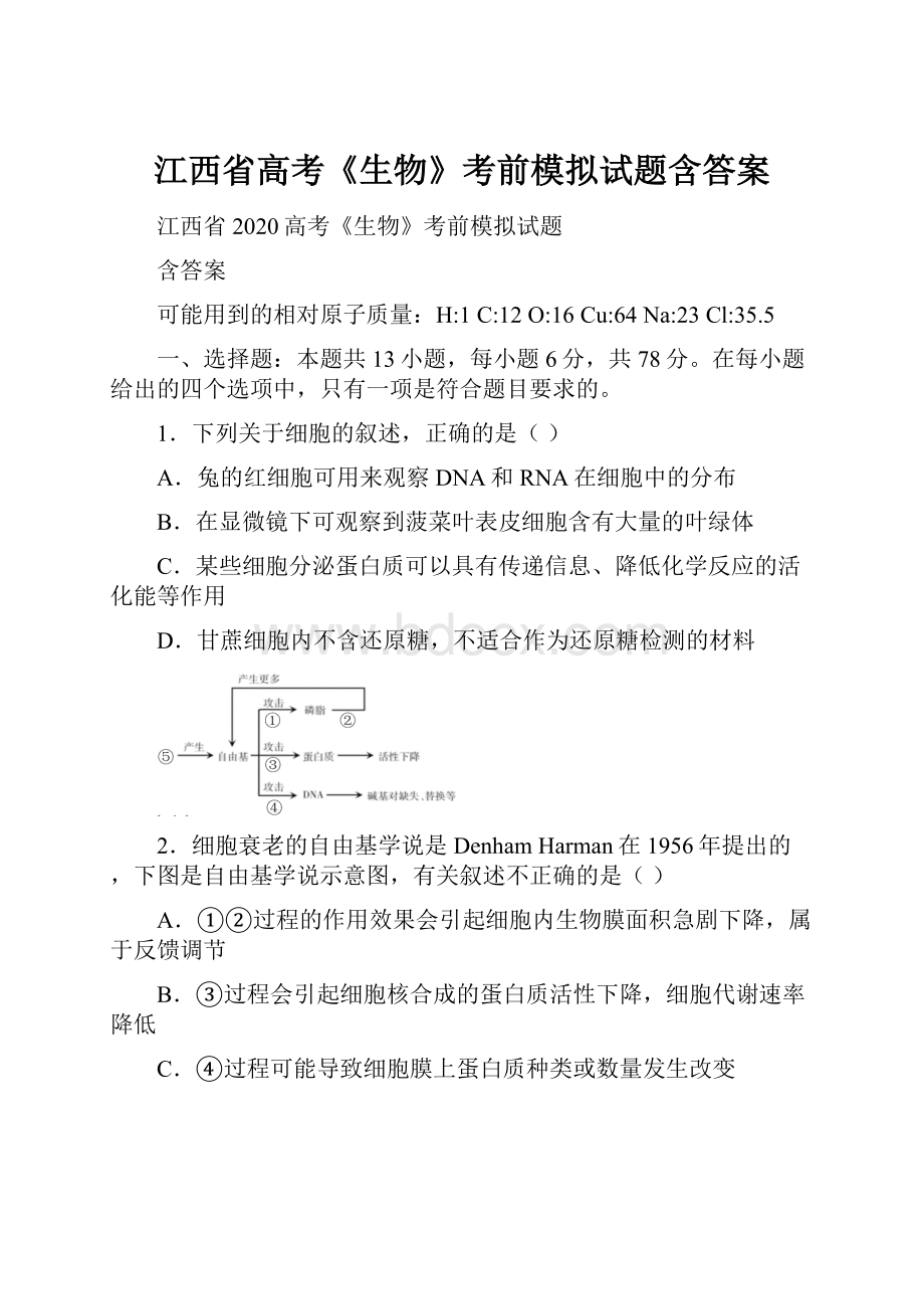 江西省高考《生物》考前模拟试题含答案.docx