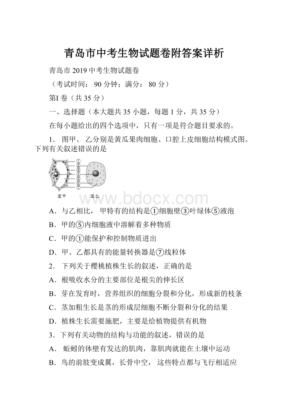 青岛市中考生物试题卷附答案详析.docx