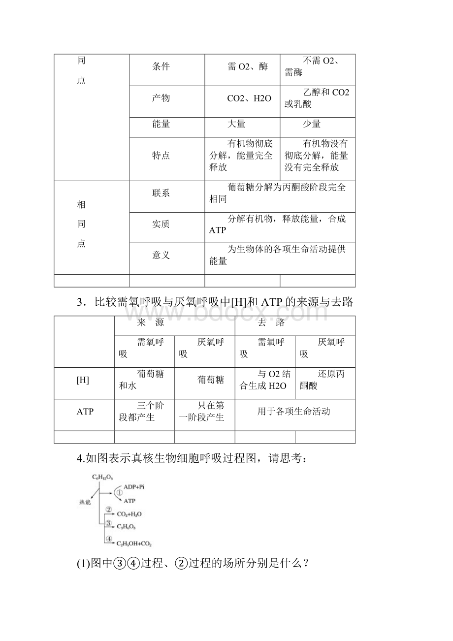 新高考生物一轮复习第二单元细胞的代谢第6讲细胞呼吸讲义浙科版.docx_第3页