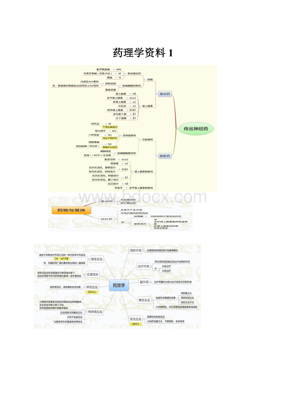 药理学资料1.docx