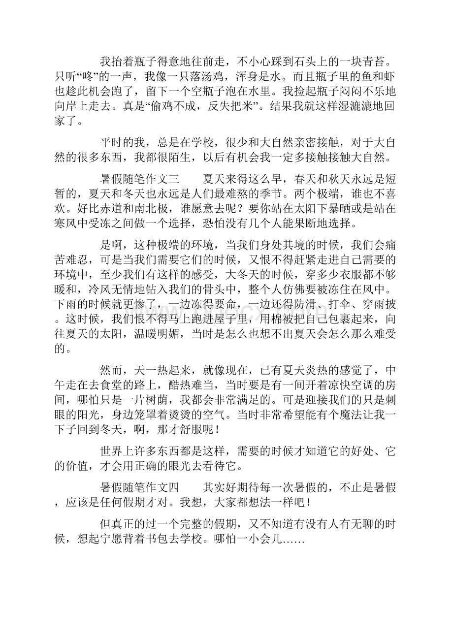 暑假随笔作文八篇.docx_第2页