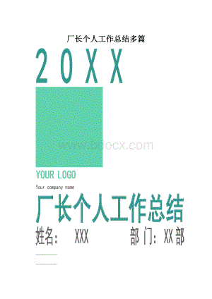 厂长个人工作总结多篇.docx