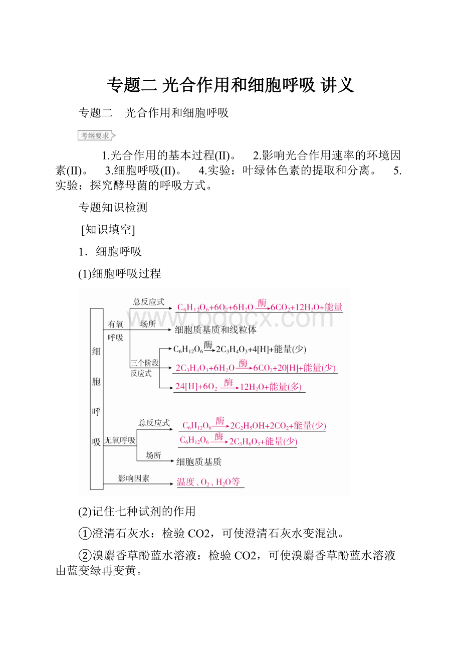 专题二 光合作用和细胞呼吸 讲义.docx