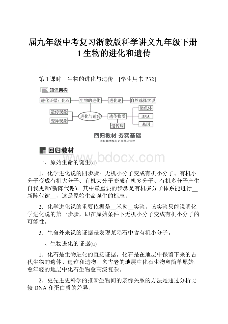 届九年级中考复习浙教版科学讲义九年级下册1生物的进化和遗传.docx