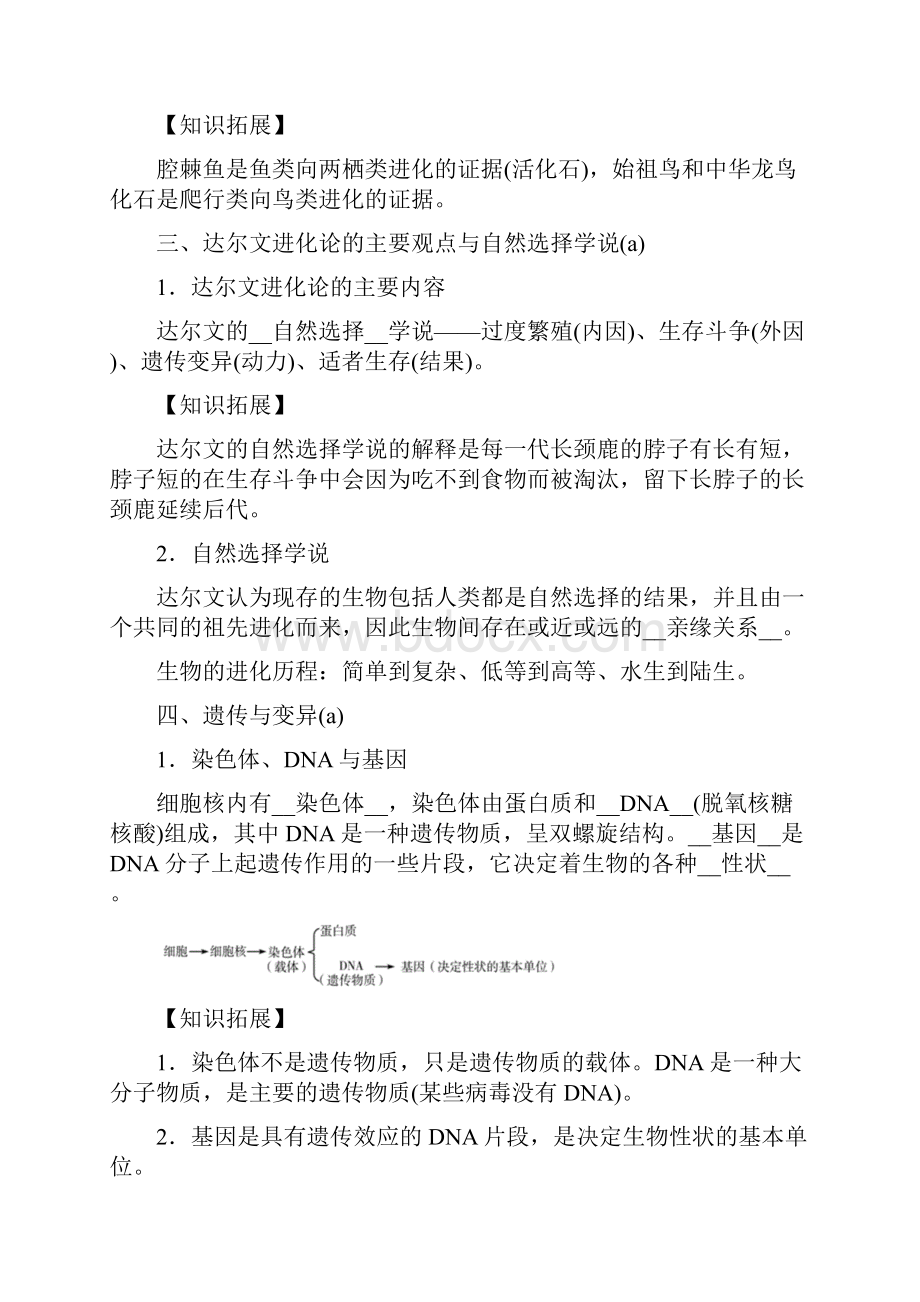 届九年级中考复习浙教版科学讲义九年级下册1生物的进化和遗传.docx_第2页