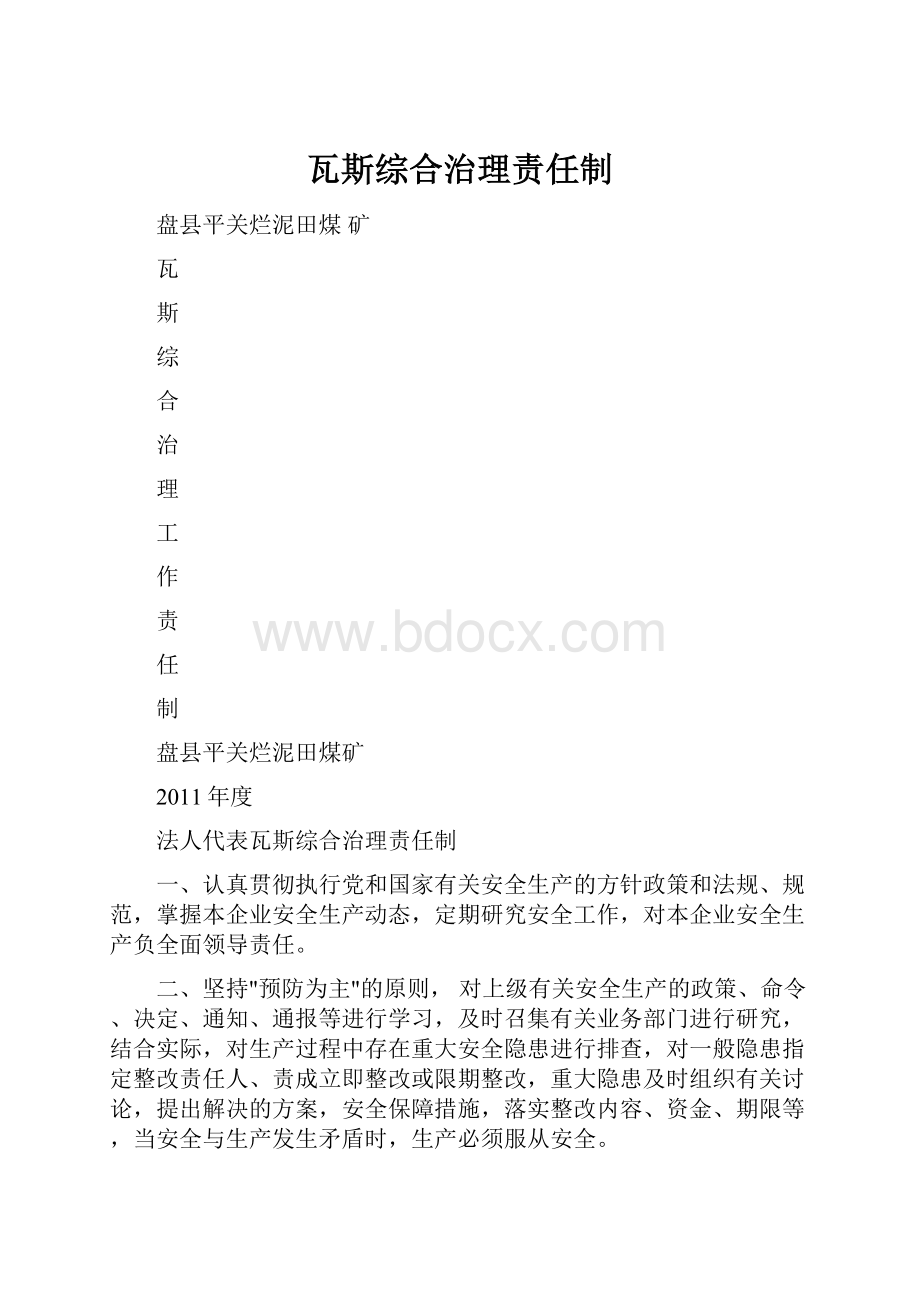 瓦斯综合治理责任制.docx