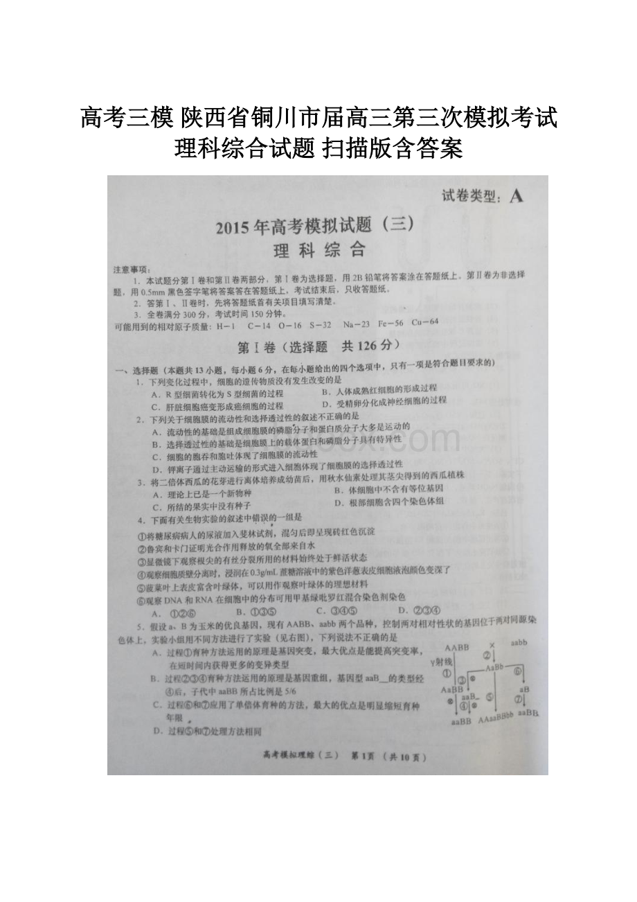 高考三模 陕西省铜川市届高三第三次模拟考试理科综合试题 扫描版含答案.docx