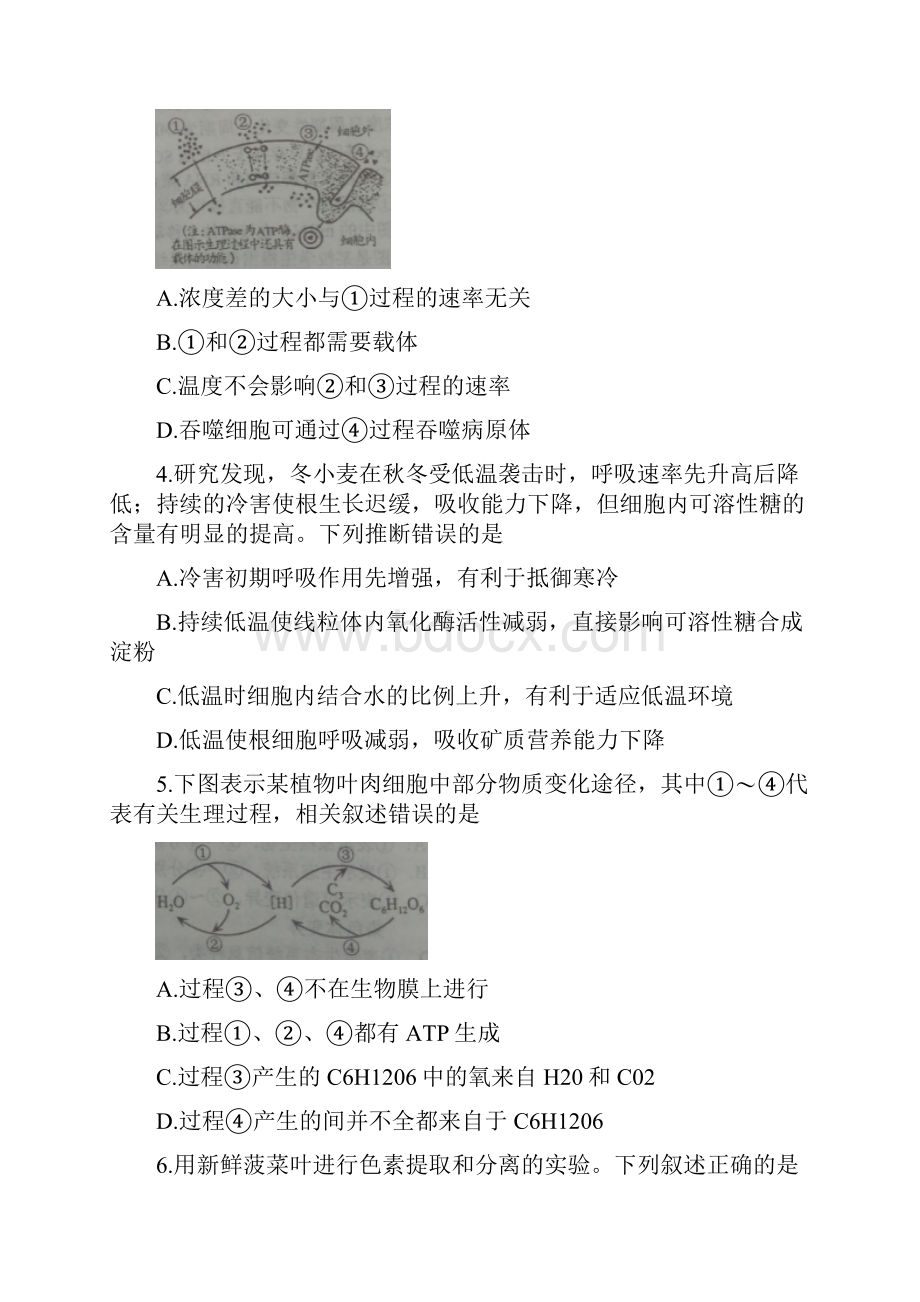 江苏省徐州市高三下学期第一次质量检测生物试题.docx_第2页