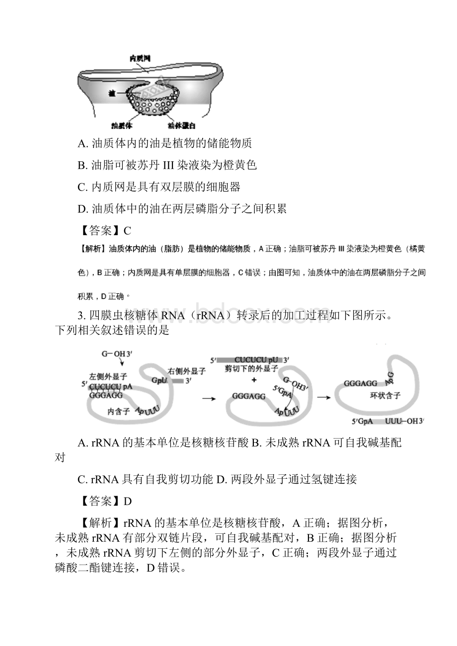 北京市西城区西城二模生物试题.docx_第2页