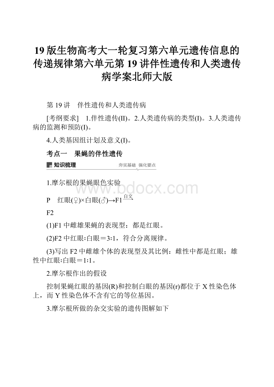 19版生物高考大一轮复习第六单元遗传信息的传递规律第六单元第19讲伴性遗传和人类遗传病学案北师大版.docx