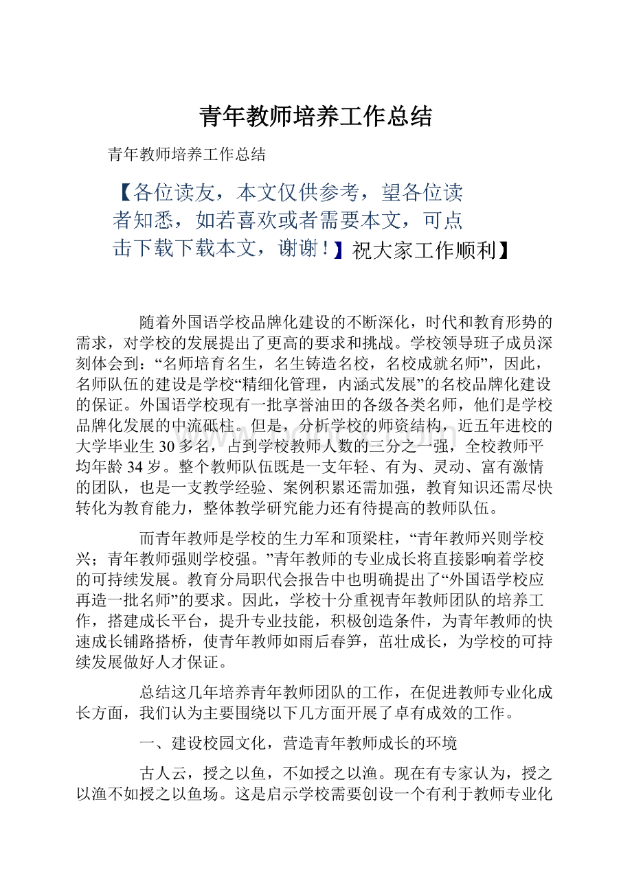 青年教师培养工作总结.docx_第1页