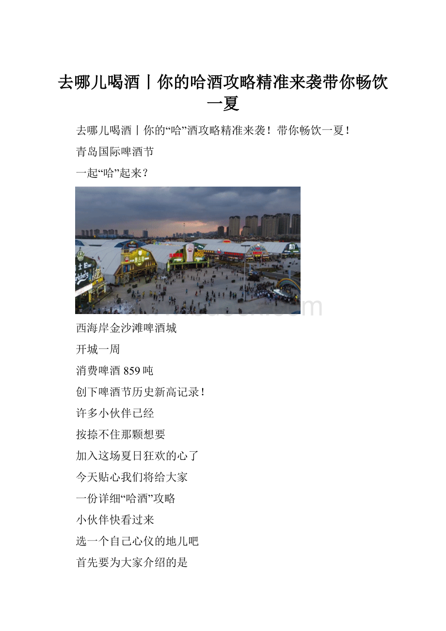 去哪儿喝酒丨你的哈酒攻略精准来袭带你畅饮一夏.docx_第1页