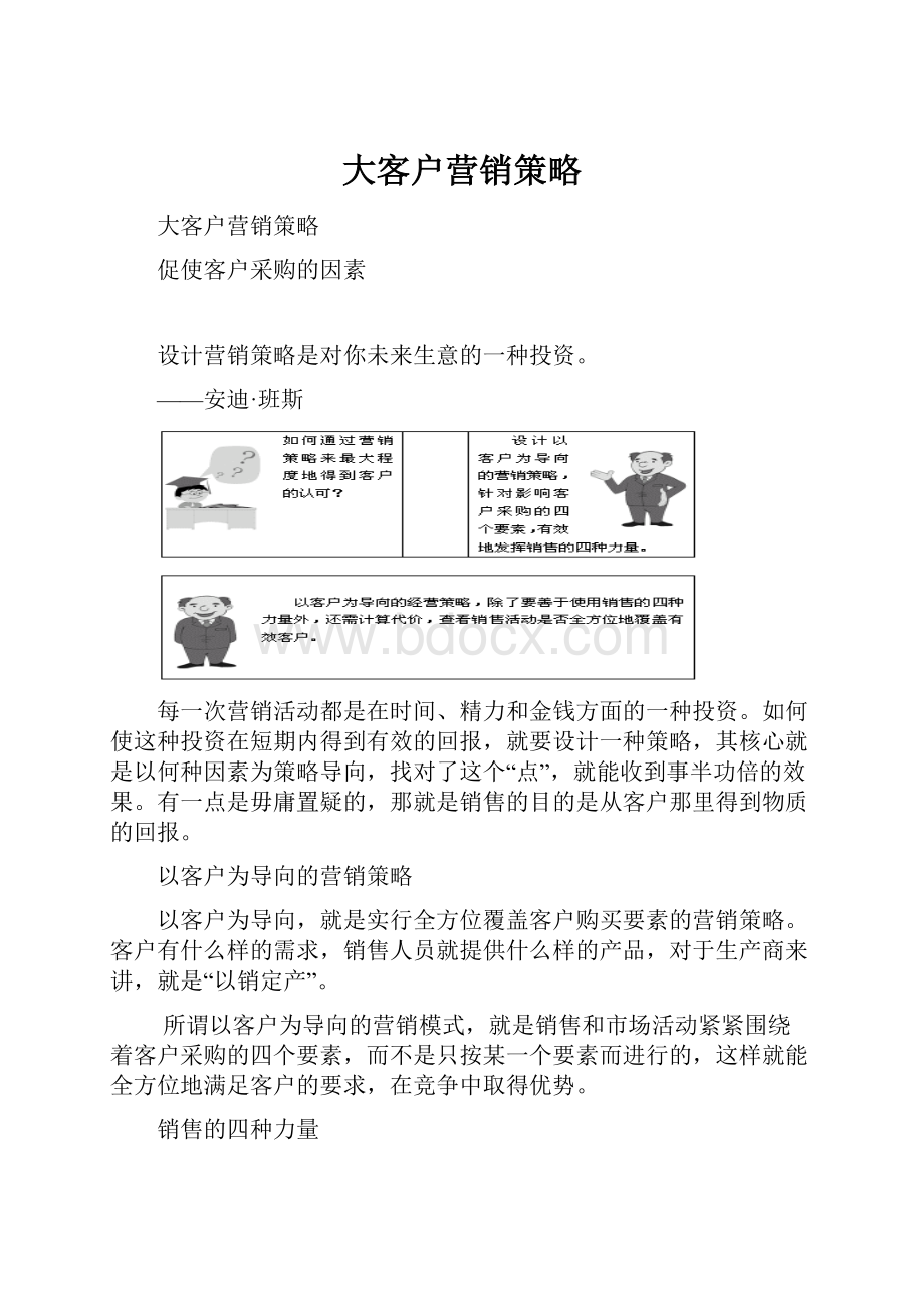 大客户营销策略.docx_第1页